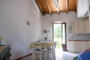 Discover Appennino - Via Roma 64 - Montecreto